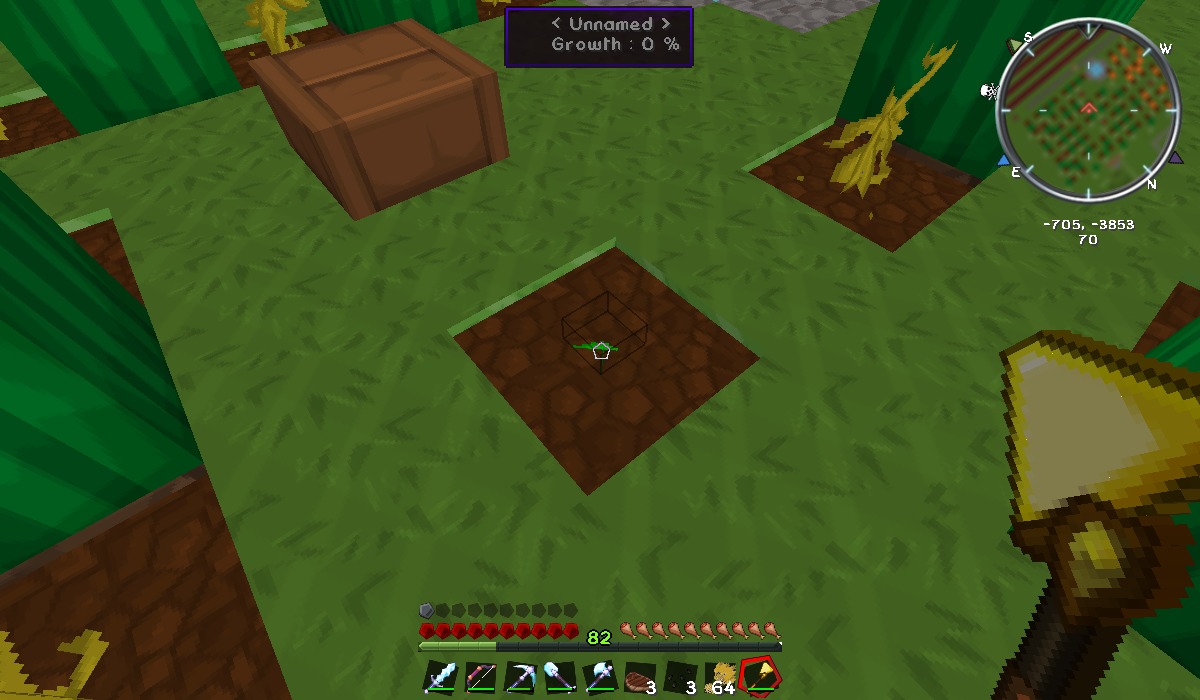 New melon seed planted